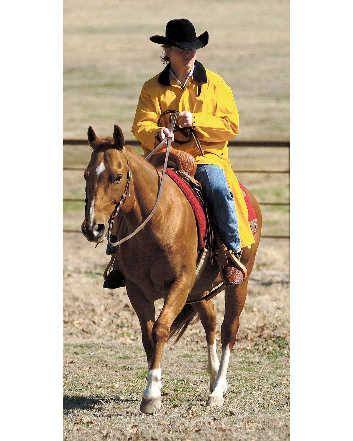 19498-double-s-adult-saddle-slicker–1.jpg