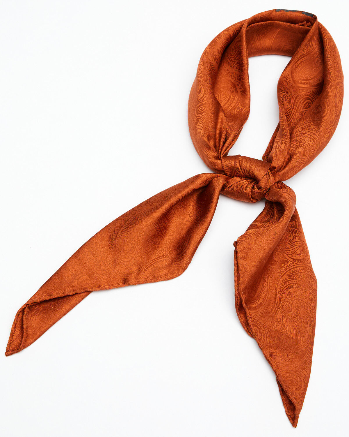 Cody James Men's Silk Jacquard Wild Rag Scarf 